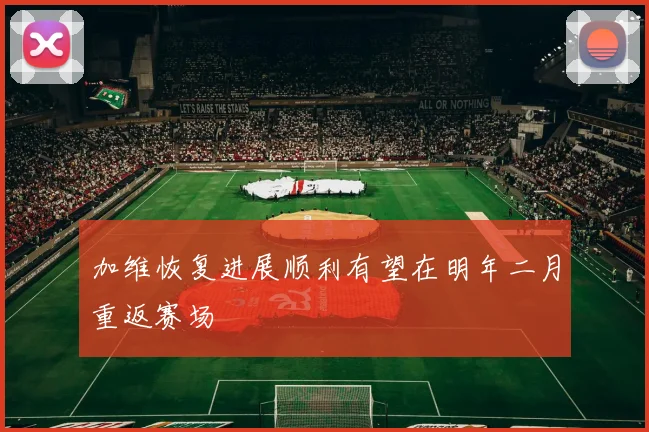 加维恢复进展顺利有望在明年二月重返赛场