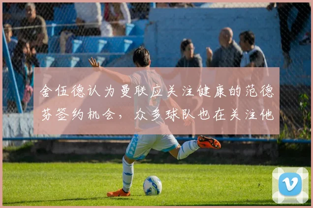 舍伍德认为曼联应关注健康的范德芬签约机会，众多球队也在关注他