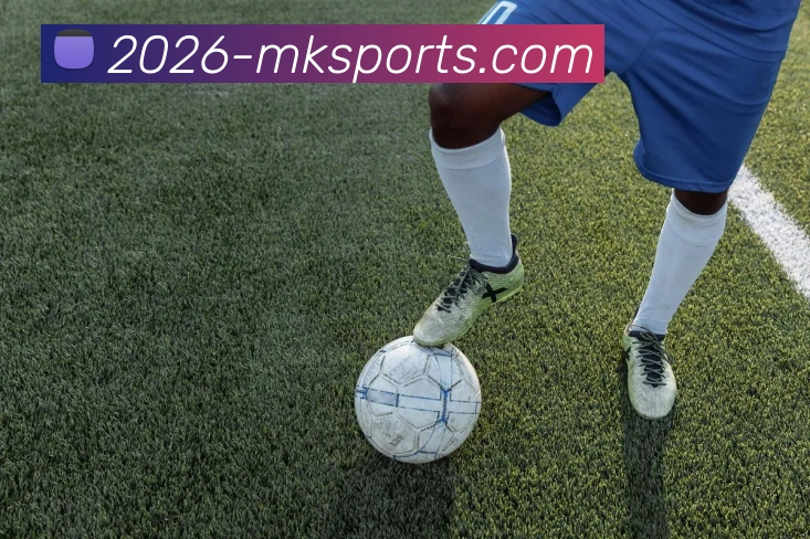 MK体育APP 封面图